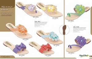 Clique para amplicar