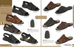 Clique para amplicar