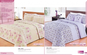 Clique para amplicar