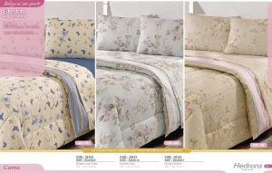 Clique para amplicar