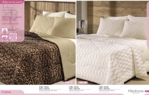 Clique para amplicar