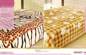 Clique para amplicar