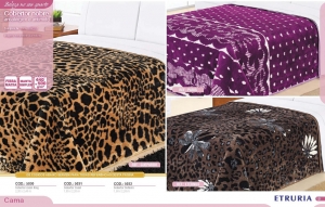 Clique para amplicar