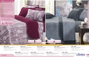 Clique para amplicar