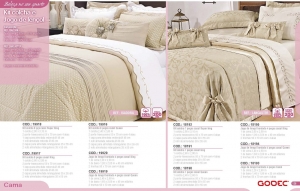 Clique para amplicar