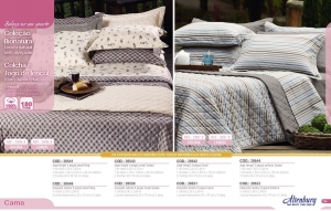 Clique para amplicar