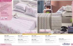 Clique para amplicar