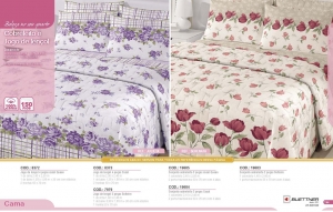 Clique para amplicar