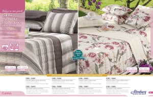 Clique para amplicar