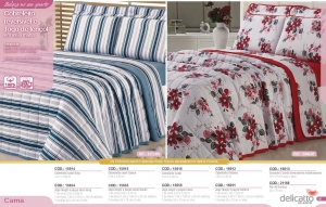 Clique para amplicar