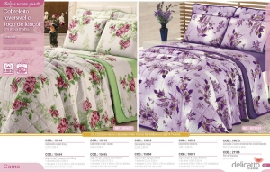 Clique para amplicar