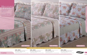 Clique para amplicar