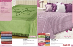 Clique para amplicar