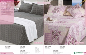 Clique para amplicar