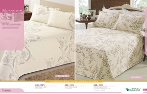 Clique para amplicar