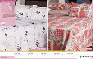 Clique para amplicar