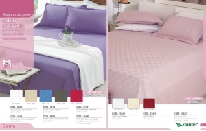 Clique para amplicar