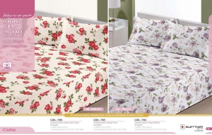 Clique para amplicar