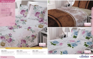 Clique para amplicar