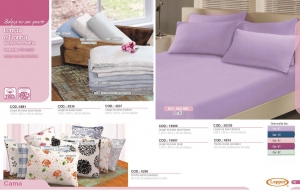 Clique para amplicar