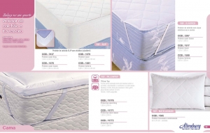 Clique para amplicar