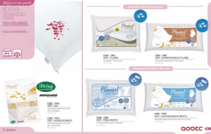 Clique para amplicar