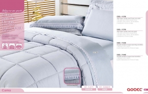 Clique para amplicar