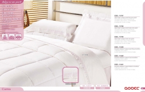 Clique para amplicar