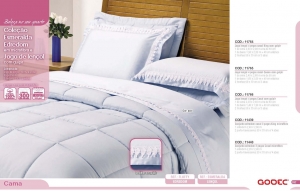 Clique para amplicar