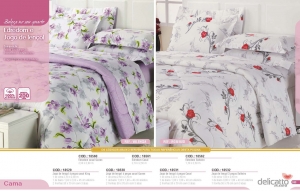 Clique para amplicar