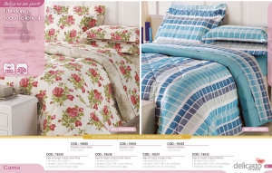 Clique para amplicar