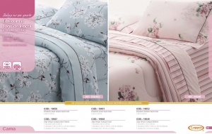 Clique para amplicar