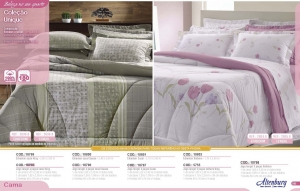 Clique para amplicar