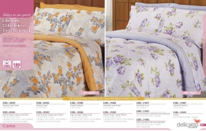 Clique para amplicar