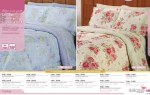 Clique para amplicar