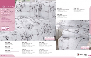 Clique para amplicar