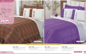 Clique para amplicar