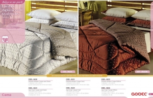 Clique para amplicar