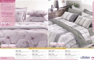 Clique para amplicar