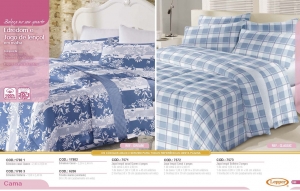 Clique para amplicar