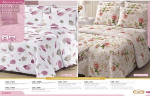 Clique para amplicar