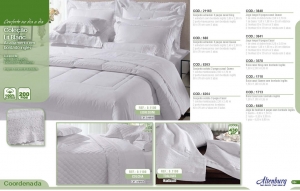 Clique para amplicar