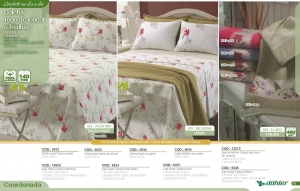 Clique para amplicar