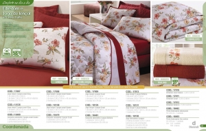 Clique para amplicar