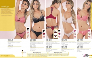 Clique para amplicar