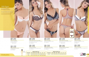 Clique para amplicar