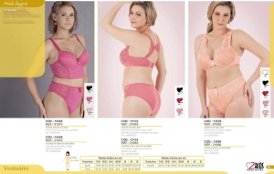 Clique para amplicar