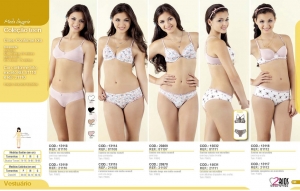 Clique para amplicar