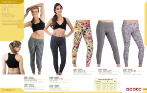 Clique para amplicar