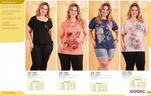 Clique para amplicar